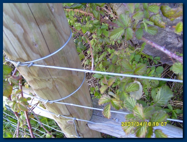 600x449 pixels (164K)